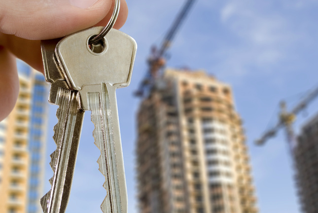 <span style="font-weight: bold;">Споры с застройщиком</span>